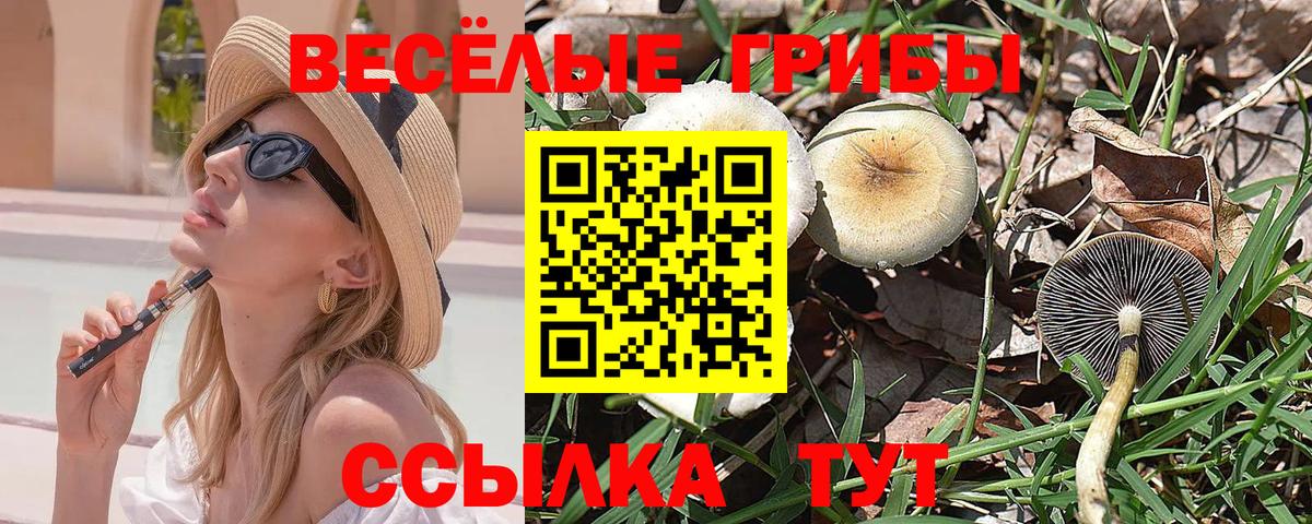 Псилоцибиновые грибы Psilocybine cubensis  Псилоцибиновые грибы GOLDEN TEACHER  даркнет сайт  Вход с VPN  Долгопрудный 