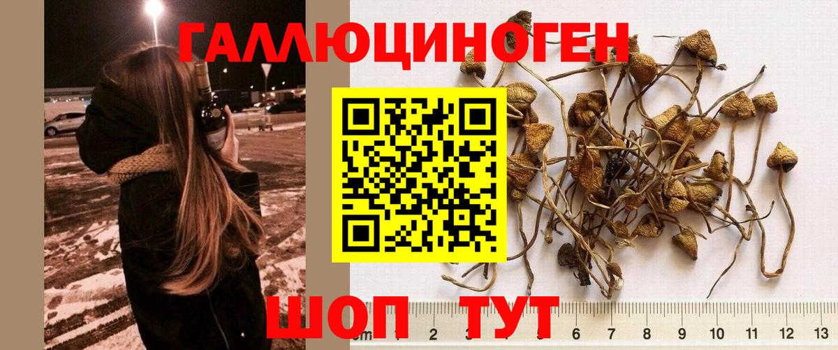 Галлюциногенные грибы MAGIC MUSHROOMS Долгопрудный